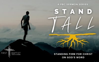 Stand Tall Series