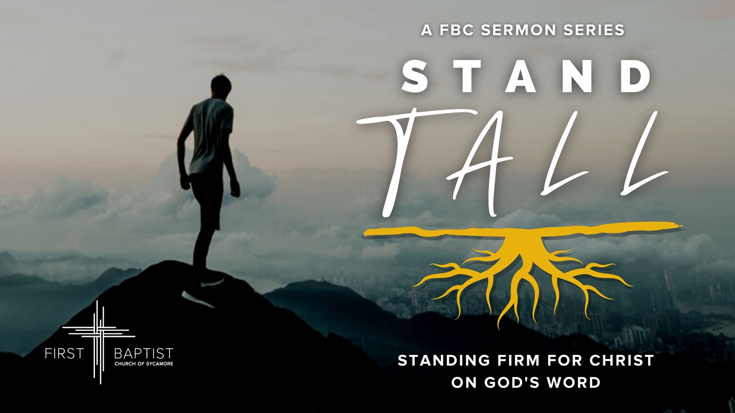 Stand Tall_Main Slide_Final 1440x810